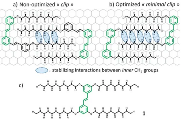 Fig. 2 Self-assembly of 1 into non-covalent polymer-like structures at the HOPG – phenyloctane interface at room temperature