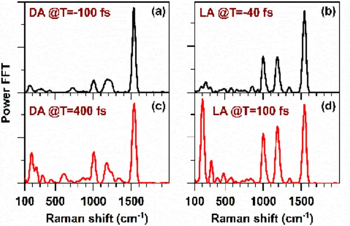 Table 2:  Comparison of the selected fingerprint vibrational modes for all-trans and  cis isomers found for ASR in this report and those reported for retinal protonated  Schiff  base  (RPSB)  in  solution  and  different  proteins:  bacteriorhodopsin,  vis