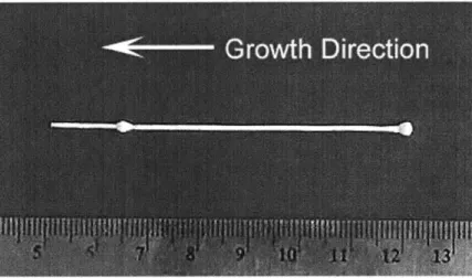 Figure  2-1:  An  as-grown  directionally  solidified  eutectic  A1 2 0 3 /c-ZrO 2  specimen  fabricated by  LHFZ,  with  two  buttonhead  ends.