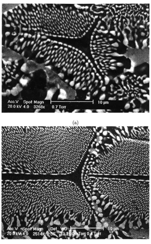 Figure  2-3:  A  higher  resolution  view  of  typical  microstructure  of  A1 2 0 3 /c-ZrO 2 (Y 2 0 3 ) eutectic,  (a)  transversal  section  (b)  axial  section.