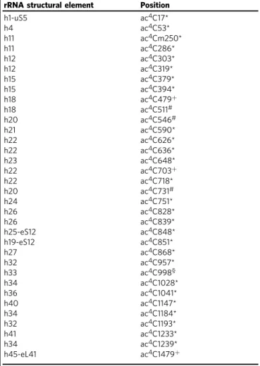 Table 2 N 4 -acetylcytidines in P. abyssi 16S rRNA of IC2.