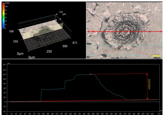 Figure SI-I: Digital microscopy footages (magnification × 500, Objective ZS200) highlighting  the bone-like nodule features including size and height