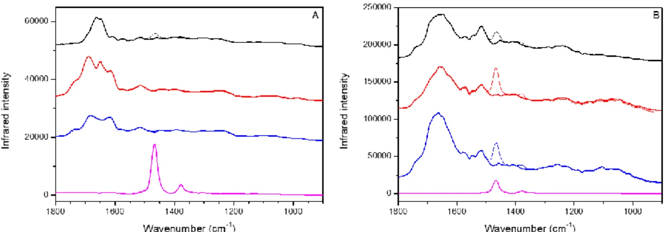 Figure SI-5: AFM-IR spectra before and after paraffin spectral subtraction. A: cell-rich region