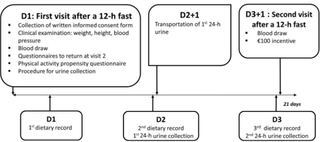 Figure 1.  Design of the dietary data validation study, NutriNet-Santé, 2013 (N=199).