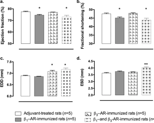 Fig. 3. Influence of immunization with peptides corresponding to the second extracellular loop of ! 1 -adrenoceptor or ! 3 -adrenoceptor or both ! 1 - and ! 3 -adrenoceptor and with adjuvant on cardiac function