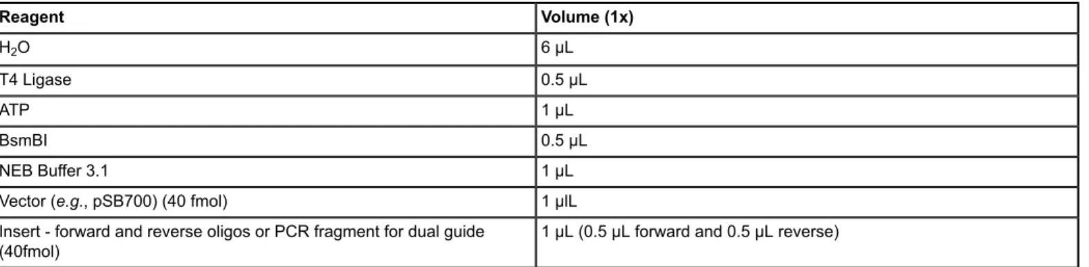 Table 2: A ligation reaction of gRNA oligonucleotides into a predigested pSB700 gRNA expression vector.