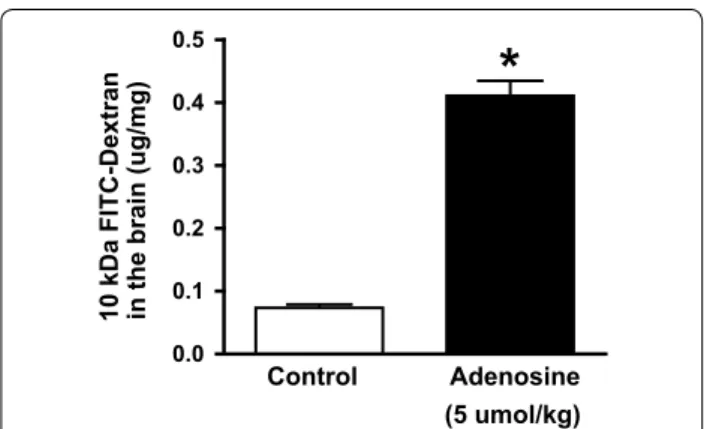 Fig. 6  Adenosine increases the permeability of the blood brain bar‑