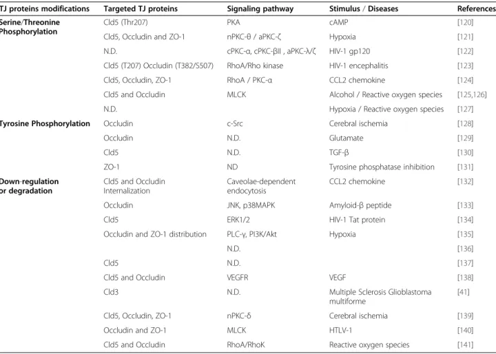 Table 1 Dysregulation of the BBB via phosphorylation or down-regulation of TJ proteins