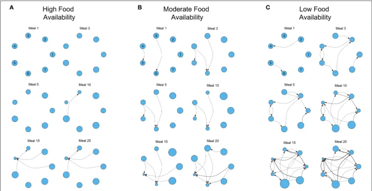 Figure 2 shows examples of the development of three dominance networks over time in different three-food environments (i.e., identical to Figure 1A) where foods are either abundant, moderately available or scarce