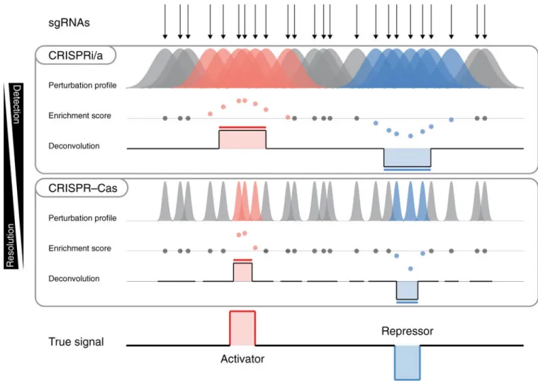 Fig. 1 |. CRISPR-SURF deconvolution framework.