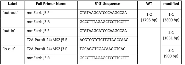Tab. 1: Oligo sequences for cloning sgRNAs 