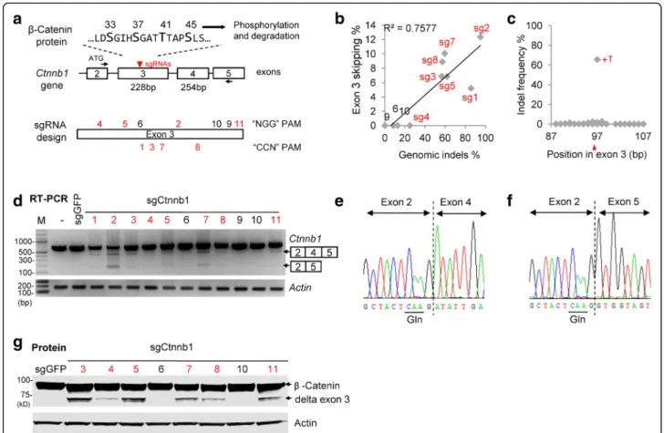 Figure S6c and Table 1). These results suggest that apparent exon skipping detected in populations of edited cells could reflect genome rearrangements that remove exons.