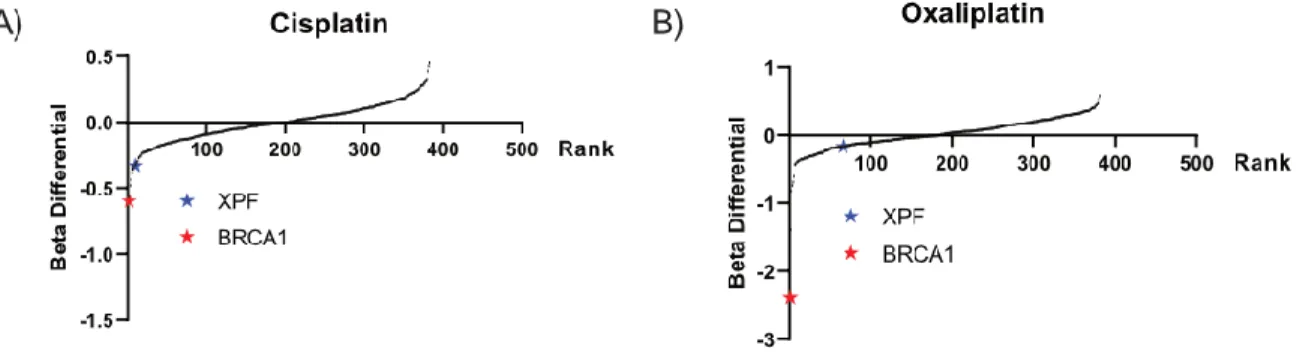 Figure 45: Comparison of BRCA1 and XPF in ovcar8 targeted screen 