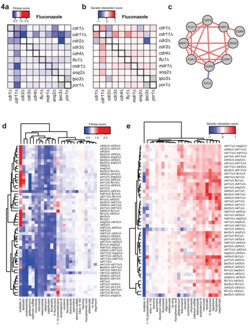 Figure 4. Double deletion matrix of C. albicans transporter genes reveals condition-specific  sensitivity and genetic interactions