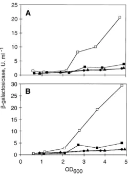 Fig. 4. Effects of lasR and OdDHL on xcpP–lacZ and xcpR–lacZ expression in E. coli strain TG1.