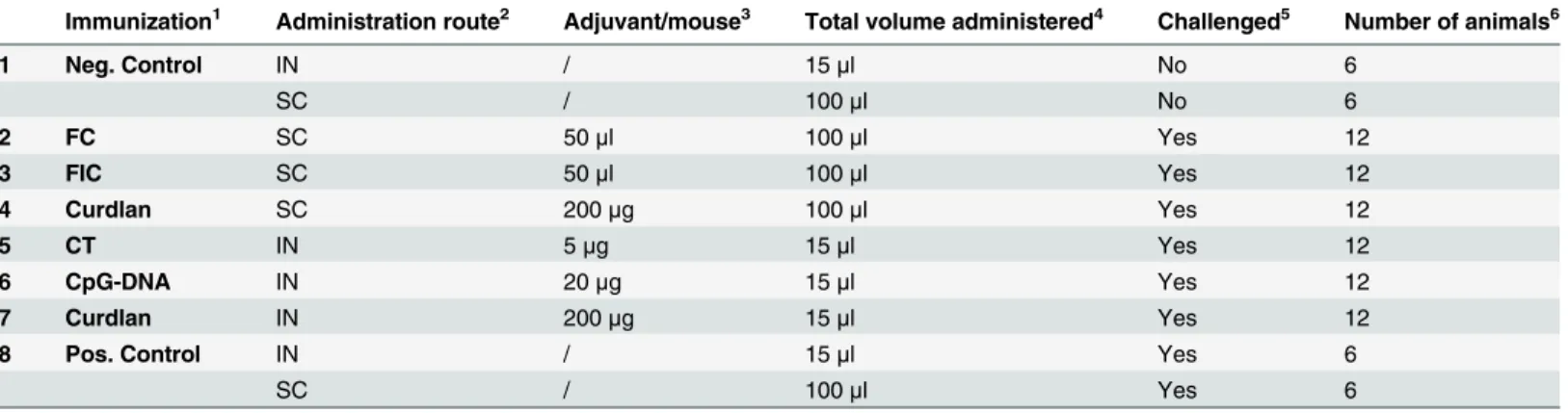 Table 1. Experimental set-up Study 1.