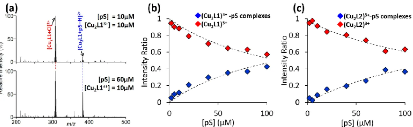 Figure 2. (a) ESI mass spectra of (Cu 2 L1) 3+  and pS mixtures with different concentration ratios