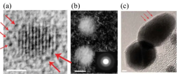 Figure 11. TEM data of OT:MPA-coated nanoparticles from Figure S2 of Jackson et al. [23] - Jackson et al