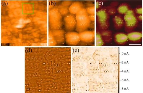 Figure 1e shows the tunnel current image recorded simulta- simulta-neously with Figure 1b
