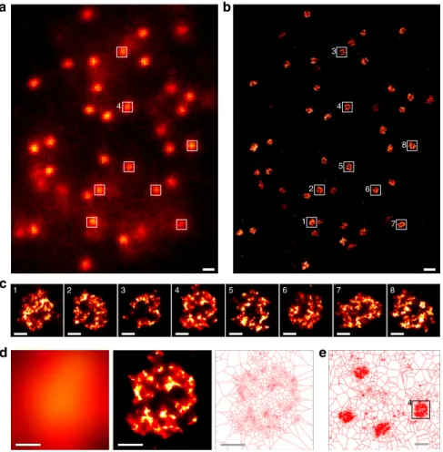 Fig. 1 SMLM images of centromeres in a non-synchronized U2OS cell. a Conventional epi ﬂ uorescence image of CENP-A