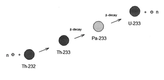 Figure  1-  Thorium  Fuel Cycle  (coloration  is arbitrary).  A source  neutron