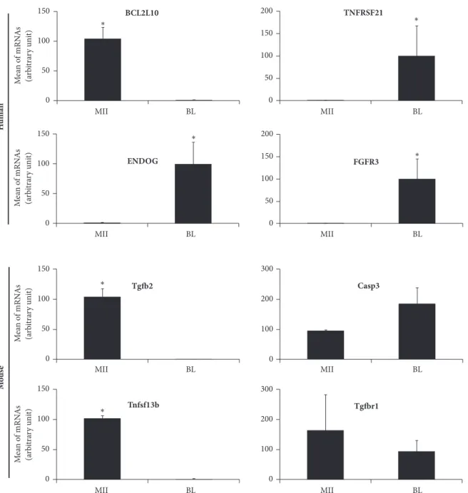 Figure 5: RT-qPCR validation of some the microarray gene expression data. Bars represent the mean ± SEM