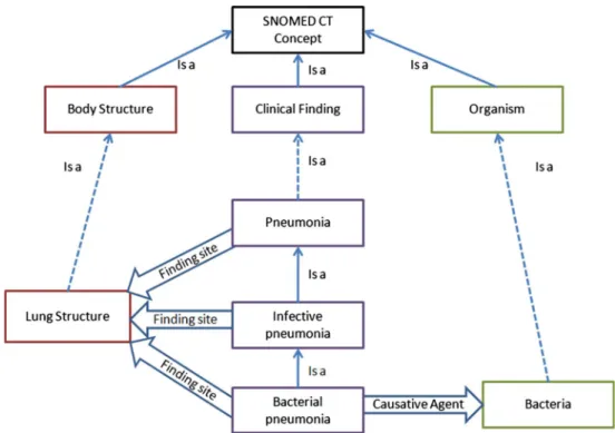 Figure 11 shows some indications for consistent use of SNOMED CT in our system.