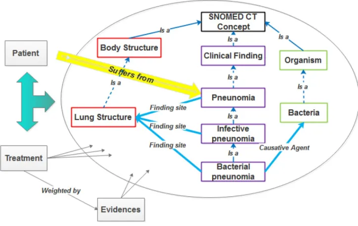 Fig. 11    Use of SNOMED CT across a broad scope of information types (e.g., patient, treatment and disease)