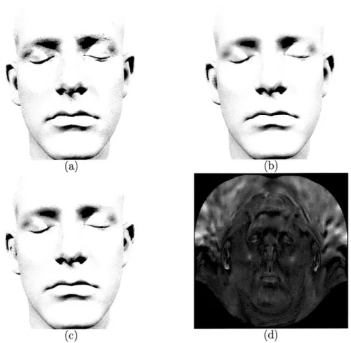 Figure  3-2:  The  1000000-triangle  mesh  (a) has enough  detail  to show variation  in the surface  of the  skin