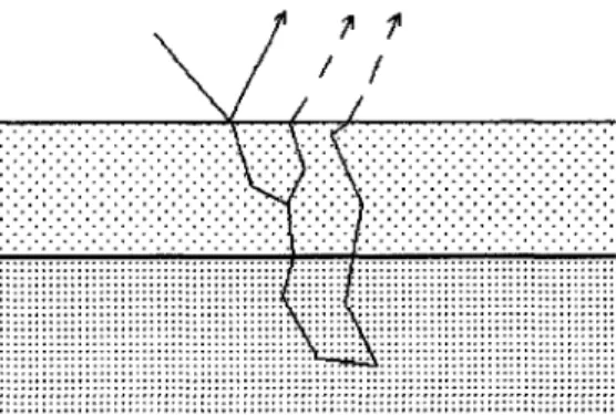 Figure 3-3:  Some of the light  that  enters  the skin scatters  in the first  layer  and reflects out