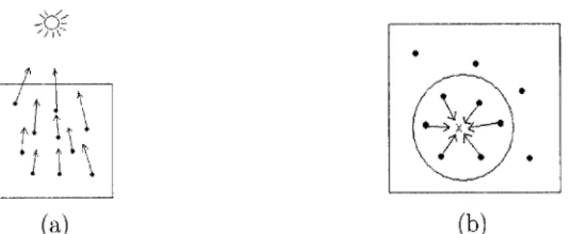 Figure  3-4:  Before  rendering,  the  irradiance  is  sampled  and  cached  at  many  points covering  the  surface  of  the skin  (a)