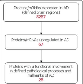 Figure 2 In silico workflow to identify candidate AD biomarkers. The workflow shows the steps used to filter the proteins to a set of potential AD biomarkers