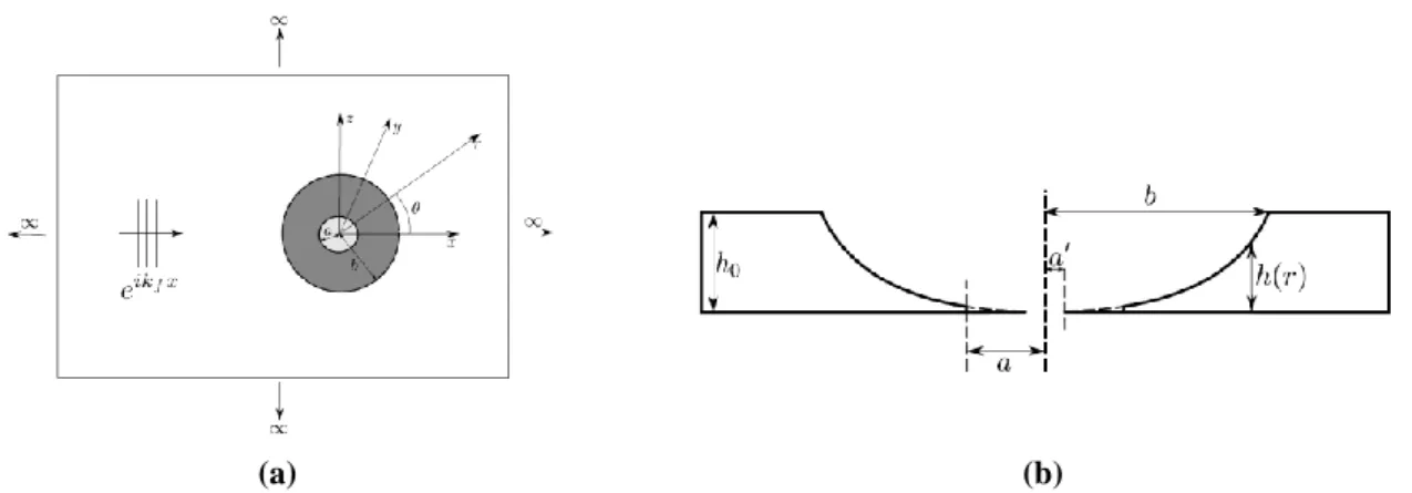 Fig. 1: (a) Incident flexural plane wave in plate with an ABH, (b) Thickness profile of the ABH plate