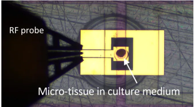 Fig. 6.  Photography of an RF applicator under test, loaded with a micro-tissue. 