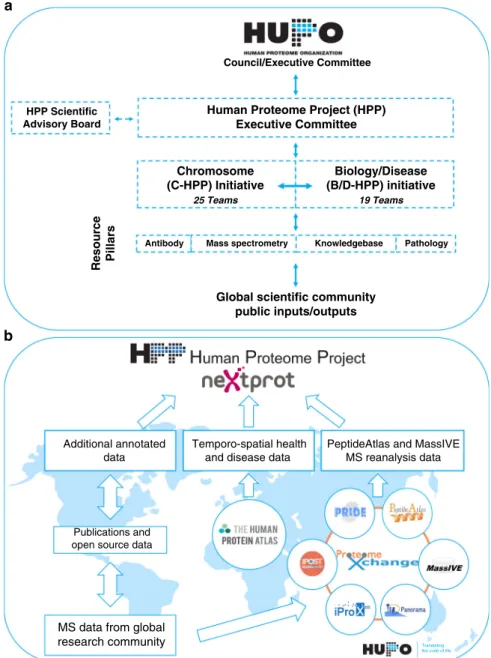 Fig. 1 Structure of HUPO ’ s Human Proteome Project. a The HPP matrix formed by creating two major initiatives (C-HPP and B/D-HPP)