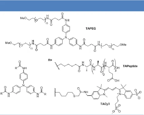 Figure 23 | Molecular structures of water-soluble triarylamines TAPEG, TAPeptide and TACy3