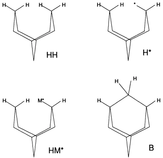 Figure 2-3:  Mechanism  for homoepitaxial growth via methyl radicals proposed by Harris [17].