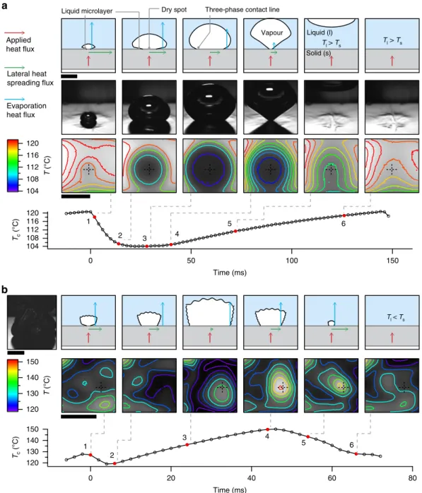 Figure 4 | Formation of a hot dry spot at CHF. Schematic representation and optical/infrared visualization of boiling at low and high heat ﬂuxes on the micro-textured surface with 10-mm-spaced micropillars