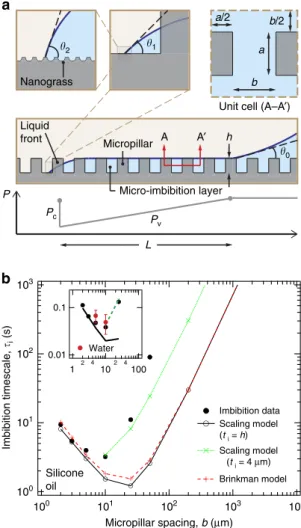Figure 5 | Liquid imbibition into surface micro-textures. (a) Owing to capillary suction liquid imbibes into the space between the micropillars forming a micro-imbibition layer