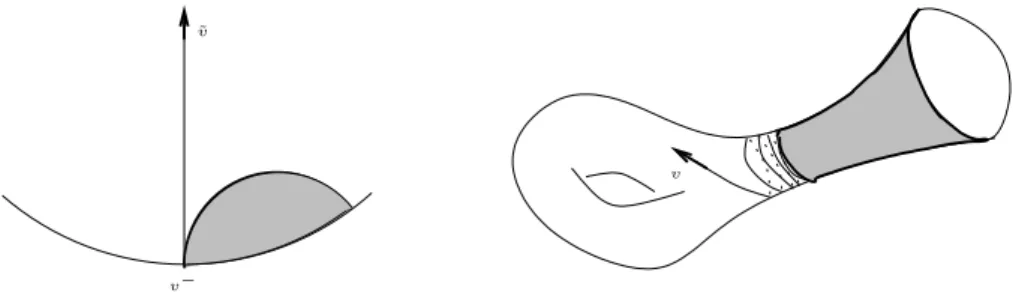 Figure 1 – Un vecteur v dont l’horocycle positif (h s v) s≥0 n’est pas dense dans E