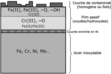 Figure 5. Structure et composition de la surface des aciers inoxydables austénitiques