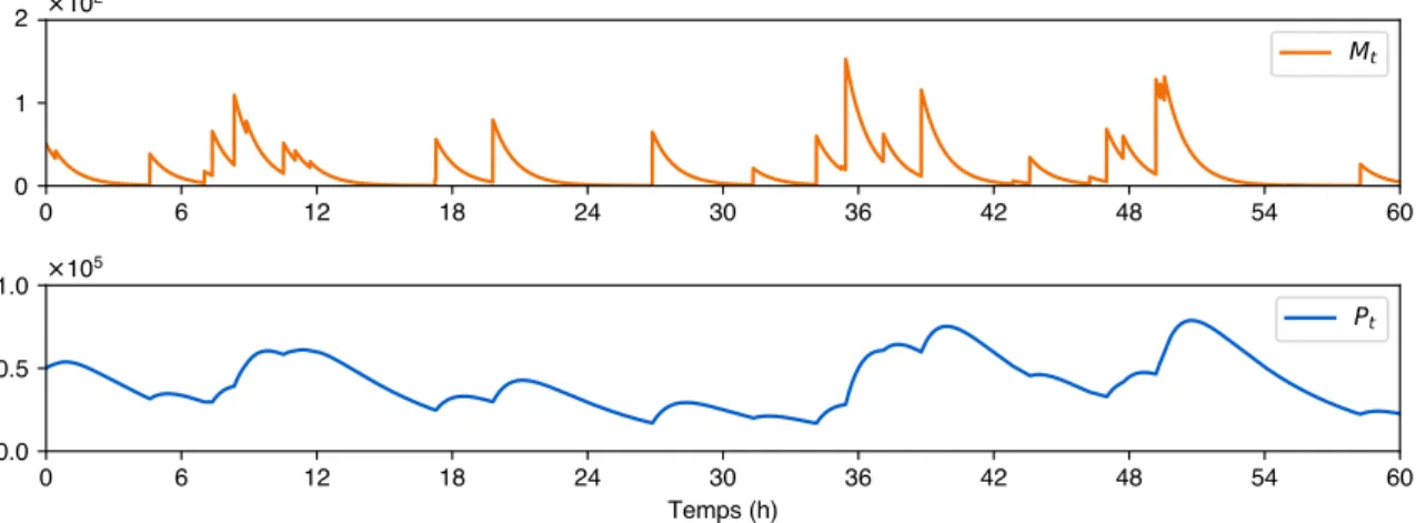 Figure 1.3 – Exemple de trajectoire du modèle PDMP bursty. Les valeurs des paramètres choisies sont k on = 0.6, k off = 5, d 0 = 1, d 1 = 0.2, s 0 = 200 et s 1 = 400 (en h − 1 ), le but étant d’obtenir des quantités réalistes d’ARNm et de protéines (Albayr