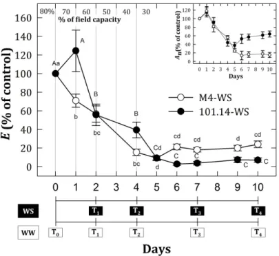 Figure  1.  Average  ±  SE  values  of  net  CO2  assimilation  (An)  and  leaf  transpiration  (E)  for  water  stress  plants