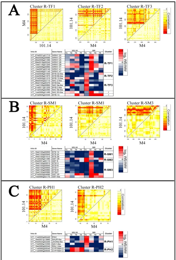 Figure 5. Differential cluster analysis results of root tissue. For correlation matrix (DCA), white (value = 1),  yellow (value = 0), and red (value = -1) indicate a complete correlation, no correlation, or anti-correlation, 