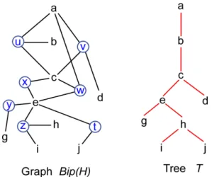 Figure 3: Bip(H) and the tree T of a tree-decomposition of H.