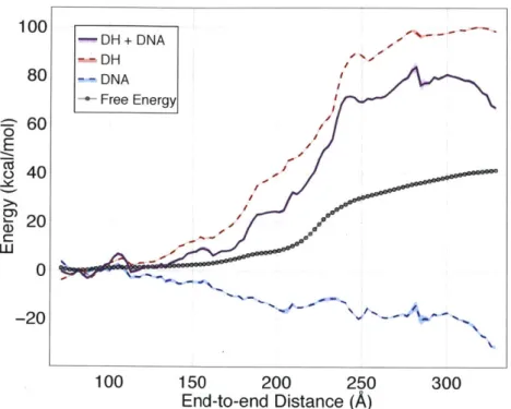 Figure 2.  Comparison of calculated  free  energy  profile with the sum of average electrostatic  and DNA  energies