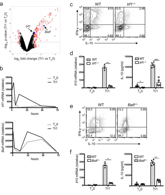 Figure 1. IRF1 and BATF are required for Tr1 differentiation in vitro