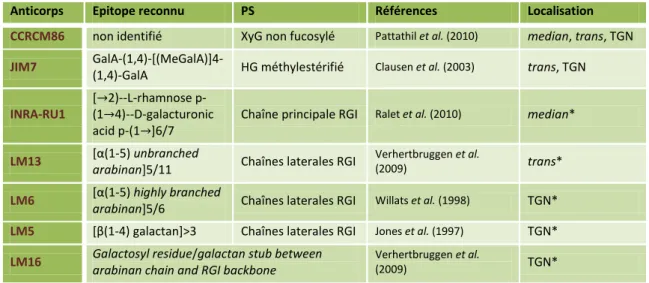 Tableau 3 : Localisation d’épitopes associés aux polysaccharides (PS) complexes. 
