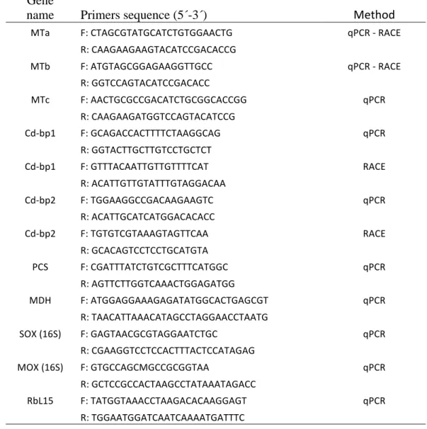 Table  1.  Primers  used  in  qPCR,  RACE  amplification  of  metal  related  genes  and  SOX  and  MOX bacteria content quantification