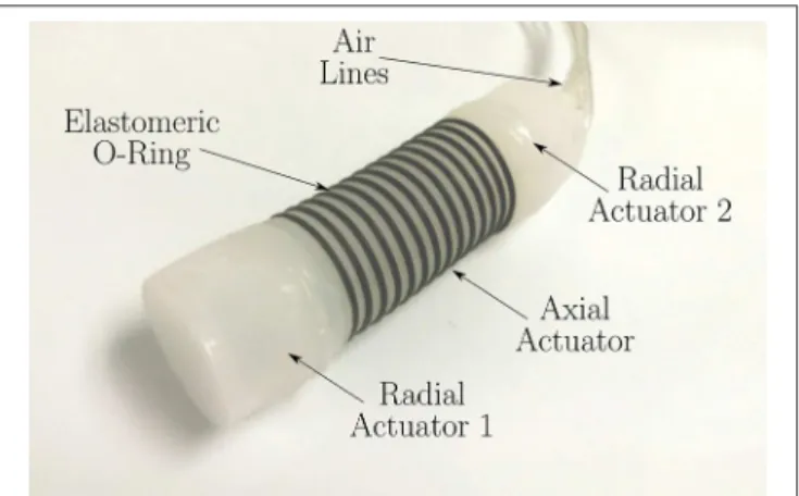 FIGURE 2 | Soft worm robot as proposed in Calderón et al. (2016). The radial expansion of the axial actuator is limited by the use of stiffer o-rings